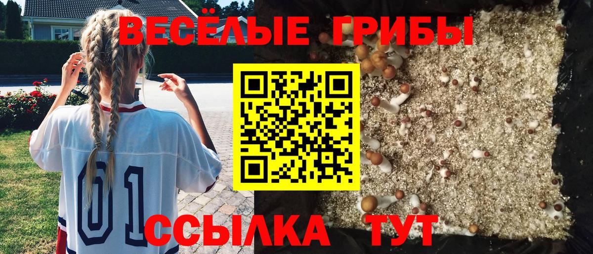 Галлюциногенные грибы MAGIC MUSHROOMS Тимашёвск