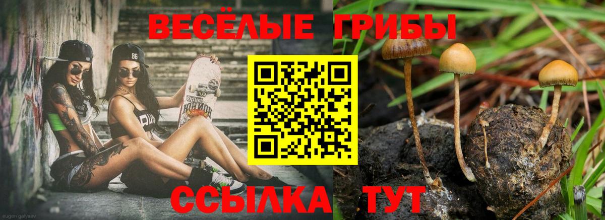 Тимашёвск  Галлюциногенные грибы Psilocybine cubensis  Галлюциногенные грибы ЛСД  Вход с VPN 